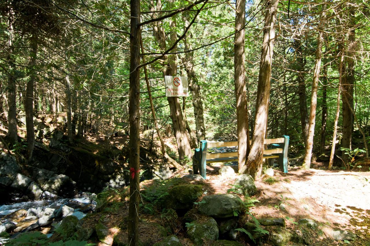 Camping Chalets Spas Pignons Rouges Saint Romain Экстерьер фото